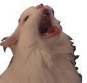:starepain: